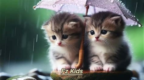 fzkids|FZ kidz .